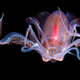 Imagen para el artículo titulado El autor de la foto ganadora de este concurso de fotografía de insectos tenía fobia a los insectos